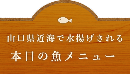 本日の魚メニュー